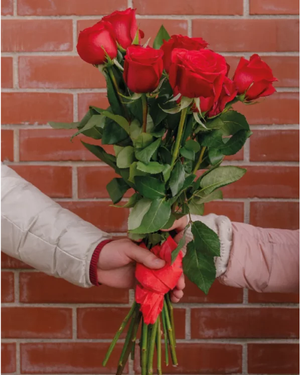 Der–Klassiker2 rote Rosen pur gebunden