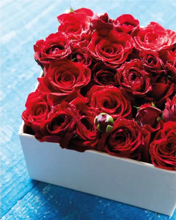 Flowerbox-red
