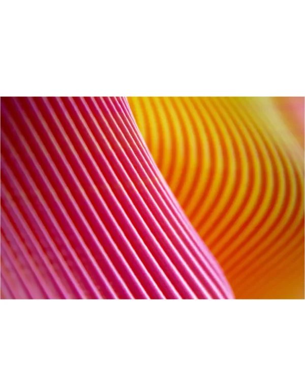 Sheyn_detail_cotton_candy Detailansicht Vase Cotton Candy